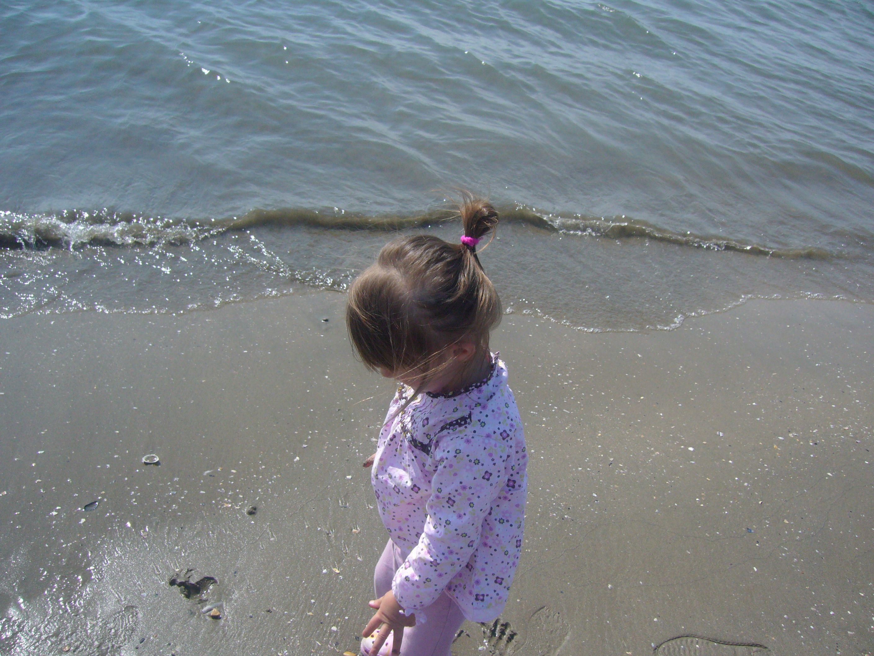 Suivi D Une Promenade Sur La Plage